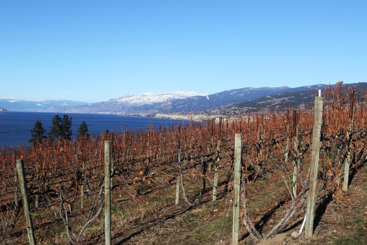 Sunshine And Wine Loft Hotel Penticton Eksteriør billede