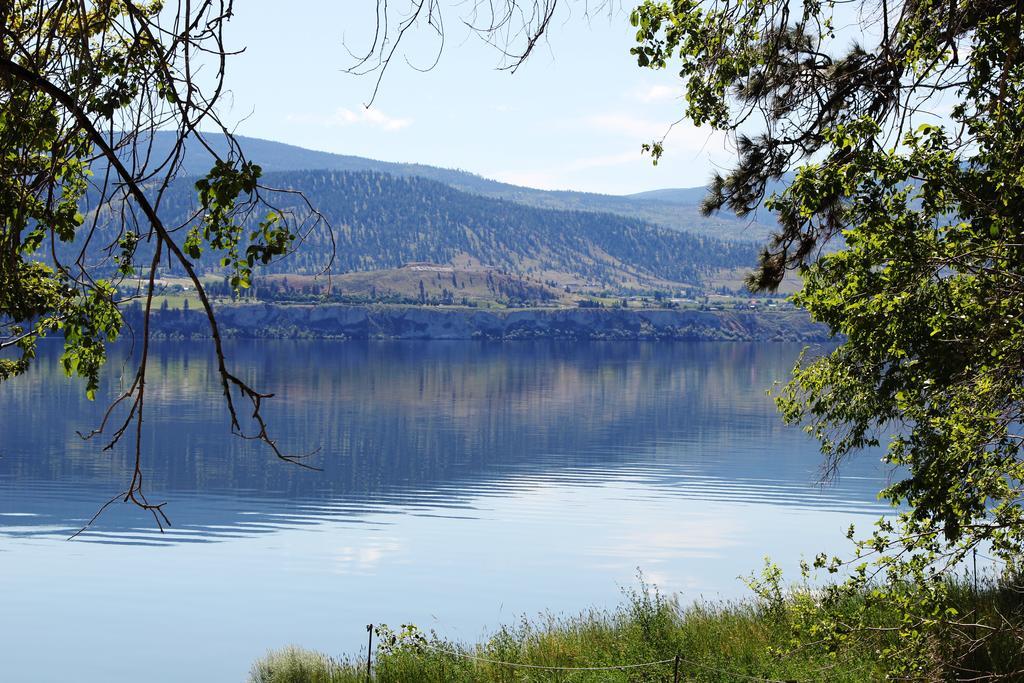 Sunshine And Wine Loft Hotel Penticton Eksteriør billede